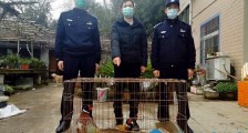 非法收售野生动物 绍兴警方抓获2名犯罪嫌疑人